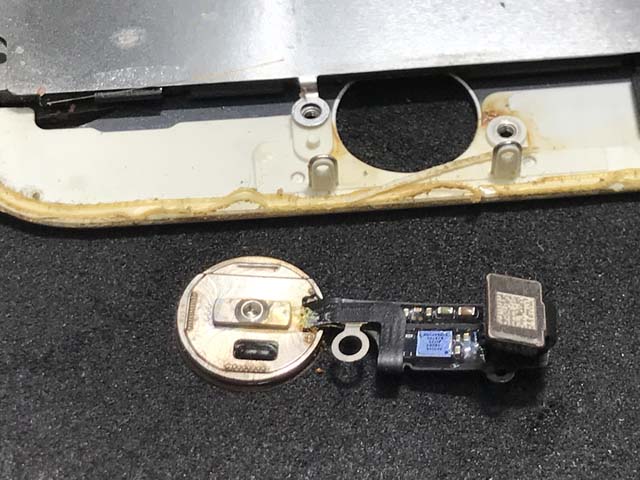 iPhone修理 アイスマ松本 ホームボタン水没