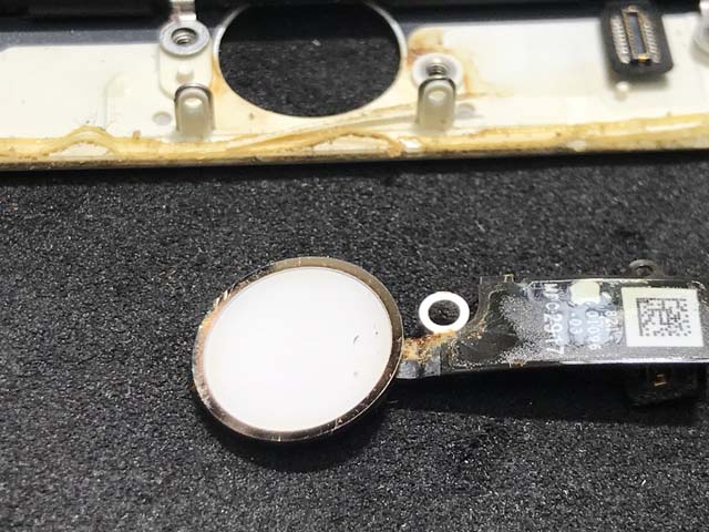 iPhone修理 アイスマ松本 ホームボタン水没